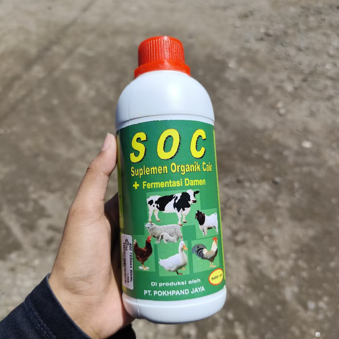 99 (3)