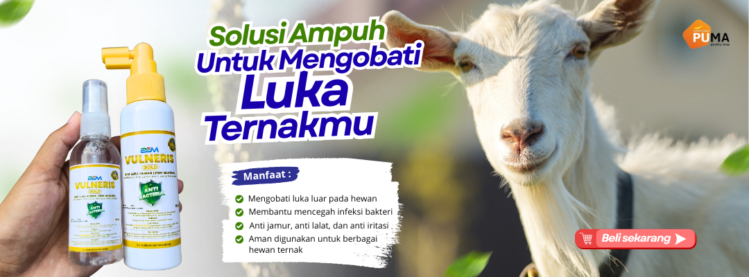 nomer 1