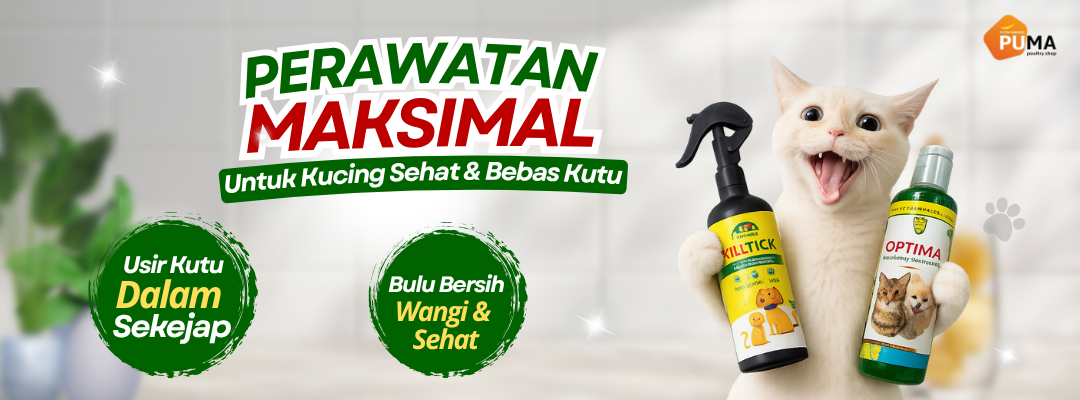 teks paragraf anda (1080 x 400 piksel) (1)