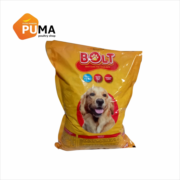 bolt-dog-orange