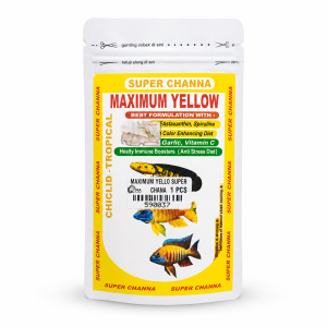 super-channa-maximum-yellow-50gr-pakan-ikan-channa-ikan-tropis