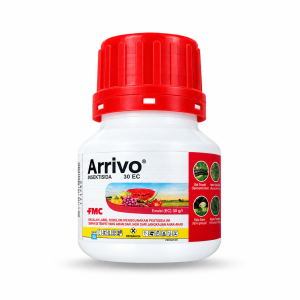 arrivo-30ec-insektisida-100ml-obat-pembasmi-hama-kutu-ulat-daun-tanaman